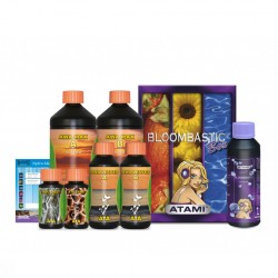 Bloombastic Box Ata Terra...