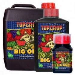 Big One 250 ml Top Crop